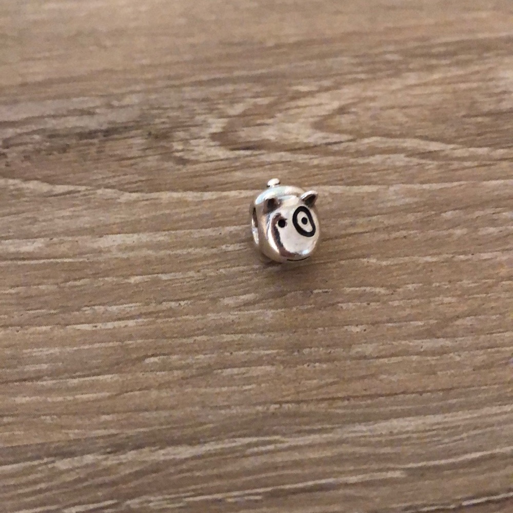 Pandora Dog Charm